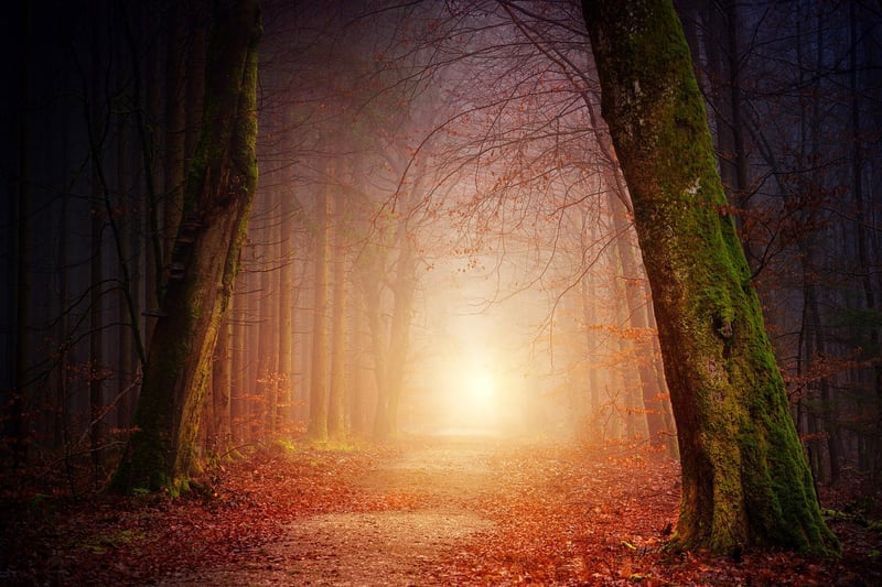 Nature Relaxation